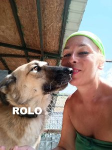 ROLO